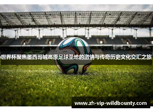 世界杯聚焦墨西哥城高原足球圣地的激情与传奇历史文化交汇之旅