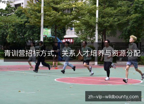 青训营招标方式,关系人才培养与资源分配 青训营招标方式,关系人才培养与资源分配