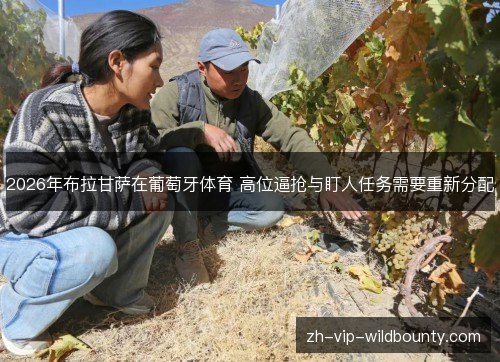 2026年布拉甘萨在葡萄牙体育 高位逼抢与盯人任务需要重新分配 2026年布拉甘萨在葡萄牙体育 高位逼抢与盯人任务需要重新分配